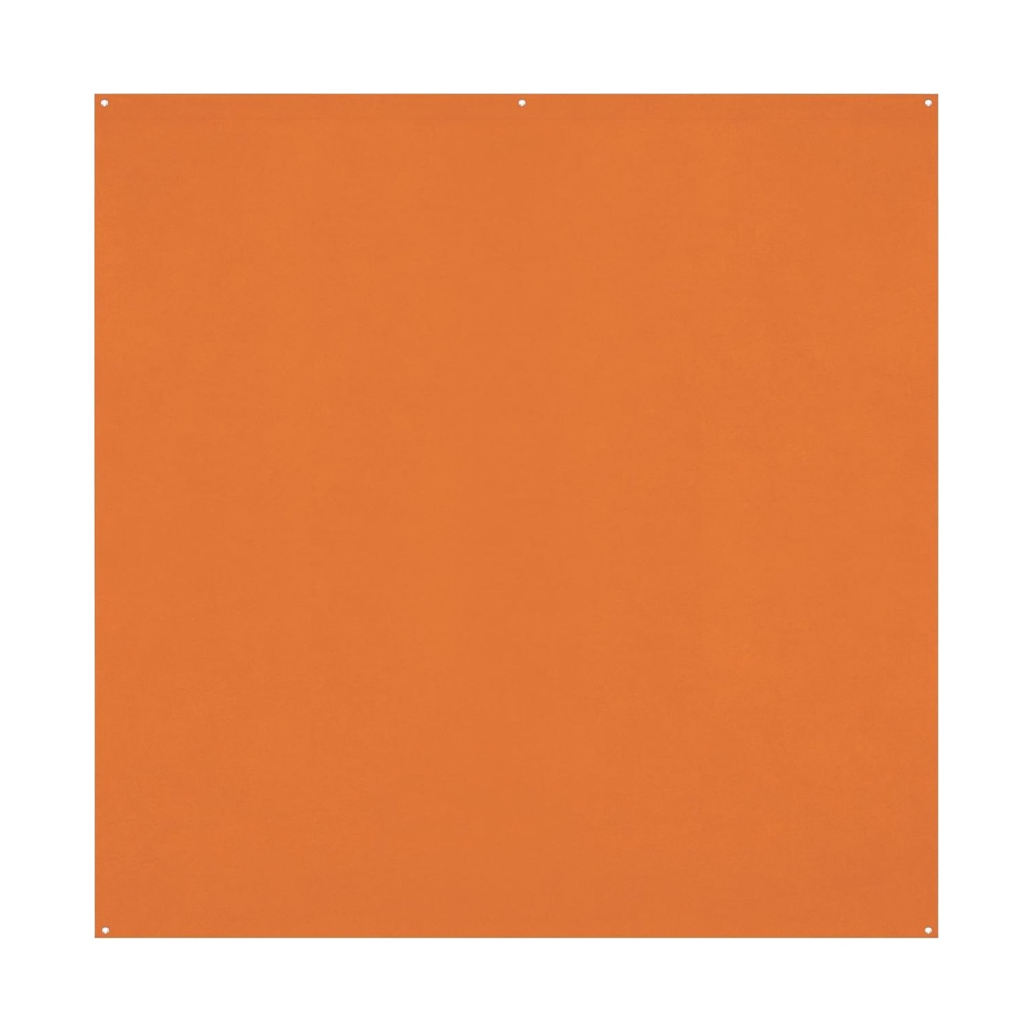 X-Drop Pro 8x8 Backdrop